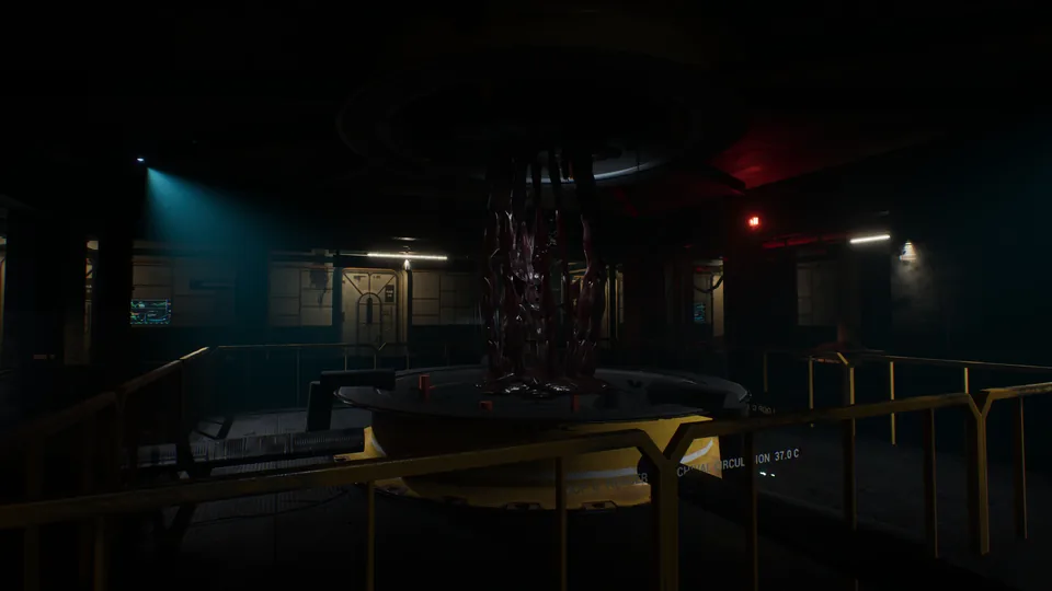 The tissue-choked Loop C header tank in the atrium